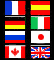 International Casino
